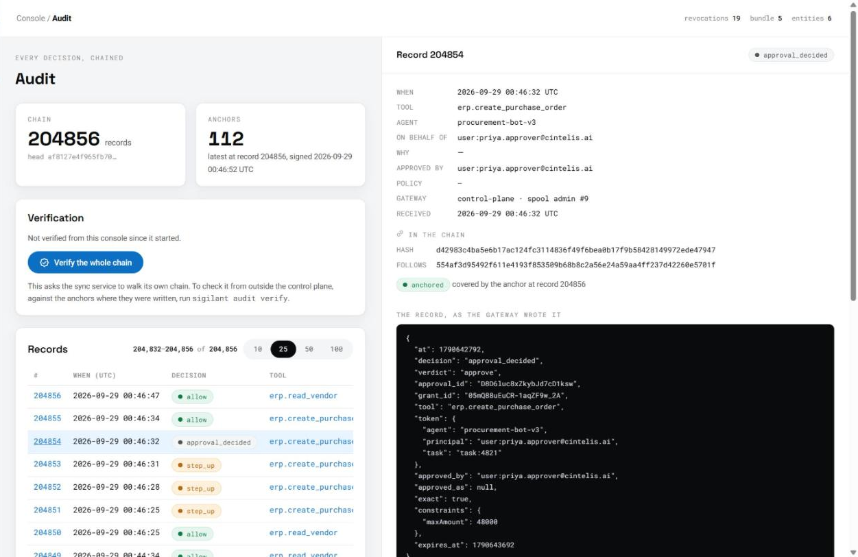 Console: the audit chain with 204,856 records and 112 anchors, and the button to verify the whole chain